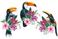 Watercolor toucan with tropical flowers orchid, hibiscus turmeric, palm leaves on isolated white background. Set birds