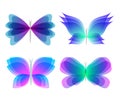 Watercolor translucent butterflies set of different colors gradients and shapes isolated on white background. Beautiful
