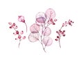 Watercolor Transparent floral set isolated on white collection of leaves, berries, branches collection in pastel pink