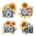 Watercolor travel, camera with sunflowers, decorative llustration
