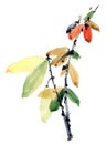 Watercolor tree branch