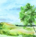 Watercolor tree of green color. Autumn countryside landscape. birch, poplar, apple, maple, wild grass, forest plant. Handmade draw