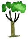 Watercolor tree impression painting Royalty Free Stock Photo