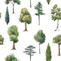 Watercolor tree seamless pattern forest oak fir birch, thuja linden baobab pine