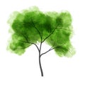 Watercolor tree. Vector illustration Royalty Free Stock Photo