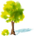 Watercolor tree - vector illustration Royalty Free Stock Photo