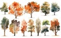 Watercolor trees collection. Set of hand drawn trees. Forest tree pack Royalty Free Stock Photo