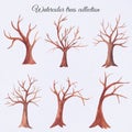 Watercolor trees with no leaves, dry, bare tree Royalty Free Stock Photo
