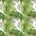 Watercolor trendy tropical print. Seamless pattern with exotic green leaves. Hand painted palm leaf on white background. Botanical