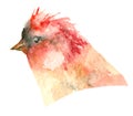 Watercolor tropic bird