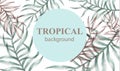 Watercolor tropic palm leaves Vector. Summer extotic backgrounds Royalty Free Stock Photo