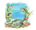 Watercolor tropic sea print. Hand painted tropic fish, seaweeds, stingray, pebbles and seashell isolated on white Royalty Free Stock Photo