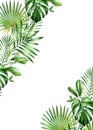Watercolor tropical background. Vertical frame with palm and monstera leaves in corners, place for text. Hand painted A5 Royalty Free Stock Photo