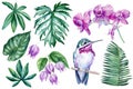 Watercolor Tropical bird, leaves and flowers orchid isolated on white background. Jungle plant Botanical illustration