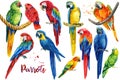 Watercolor tropical birds, macaw, parrots, white isolated background, hand drawing Royalty Free Stock Photo