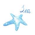 Watercolor tropical blue starfish and lettering Sea isolated on white background. Royalty Free Stock Photo