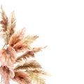 Watercolor tropical border with dry pampas grass and gold textures. Hand painted exotic frame isolated on white