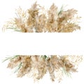 Watercolor tropical border of gold and green pampas grass. Hand painted frame of exotic dry plant isolated on white