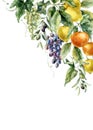 Watercolor tropical border of ripe lemons, olive, oranges, grapes and leaves. Hand painted branch of fresh fruits