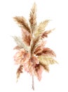 Watercolor tropical bouquet with dry pampas grass and gold textures. Hand painted exotic card isolated on white