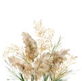 Watercolor tropical bouquet of green and gold linear pampas grass. Hand painted exotic card of dry plant isolated on