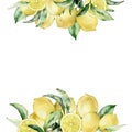 Watercolor tropical bouquet with lemon and leaves. Hand painted exotic card with plant isolated on white background