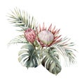 Watercolor tropical card with King and Queen proteas, palm leaves. Hand painted pink flowers, coconut, monstera leaves Royalty Free Stock Photo