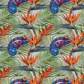 Watercolor tropical chameleon seamless pattern. Hand Drawn jungle nature, madagascar animals, hibiscus flowers illustration