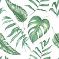 Watercolor tropical collecton. Palm, banana and monstera leaves with tropical flowers