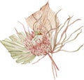 Watercolor tropical composition with fan palm leaves and protea flower. Exotic dried leaves illustration