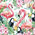 Watercolor tropical floral and flamingo seamless pattern, tropical mood, colorful exotic birdlife with floral elements leaves Royalty Free Stock Photo