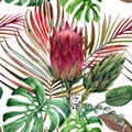 Watercolor tropical floral seamless pattern. hand-drawn wild nature illustration Royalty Free Stock Photo