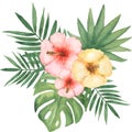 Watercolor tropical florals bouquet illustration. Green tropic leaves wreath. Monstera leaf. Summer flowers clipart. Beach floral