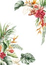 Watercolor tropical flowers border of heliconia, hibiscus, orchid and etlingera. Hand painted floral frame isolated on