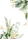 Watercolor tropical flowers border of linear banana, gold monstera and fern. Hand painted frame isolated on white
