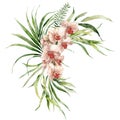 Watercolor tropical flowers bouquet of orchids, fern and liana. Hand painted floral poster isolated on white background