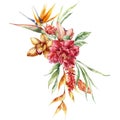 Watercolor tropical flowers bouquet of strelitzia, heliconia and etlingera. Hand painted floral poster isolated on white