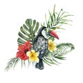 Watercolor tropical flowers bouquet and toucan. Hand painted bird, hibiscus and plumeria isolated on white background Royalty Free Stock Photo