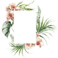 Watercolor tropical flowers frame of orchids, fern and liana. Hand painted floral border isolated on white background Royalty Free Stock Photo