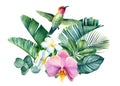 Watercolor tropical flowers, leaves and birds. Botanical Illustration plumeria, orchid, hummingbird