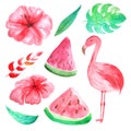 Watercolor tropical flowers, leaves and flamingoes