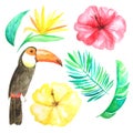 Watercolor tropical flowers, leaves and toucan Royalty Free Stock Photo