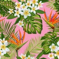 Watercolor Tropical Flowers and Palm Leaves Seamless Pattern. Floral Hand Drawn Background. Blooming Plumeria Flowers Royalty Free Stock Photo