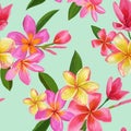 Watercolor Tropical Flowers and Palm Leaves Seamless Pattern. Floral Hand Drawn Background. Blooming Plumeria Flowers Royalty Free Stock Photo