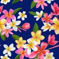 Watercolor Tropical Flowers and Palm Leaves Seamless Pattern. Floral Hand Drawn Background. Blooming Plumeria Flowers Royalty Free Stock Photo