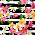 Watercolor Tropical Flowers and Palm Leaves Seamless Pattern. Floral Hand Drawn Background. Blooming Plumeria Flowers