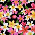 Watercolor Tropical Flowers Seamless Pattern. Floral Hand Drawn Background. Exotic Plumeria Flowers Design for Fabric
