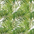 Watercolor tropical forest seamless pattern with exotic green leaves. Hand painted palm leaf on white background. Botanical print