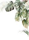 Watercolor tropical frame with monstera and coconut leaves. Hand painted exotic leaves isolated on white background