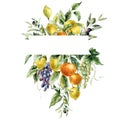 Watercolor tropical frame of ripe lemons, olive, oranges, grapes and leaves. Hand painted branch of fresh fruits